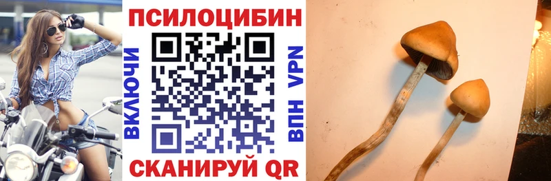 Галлюциногенные грибы Magic Shrooms  сколько стоит  Североуральск 